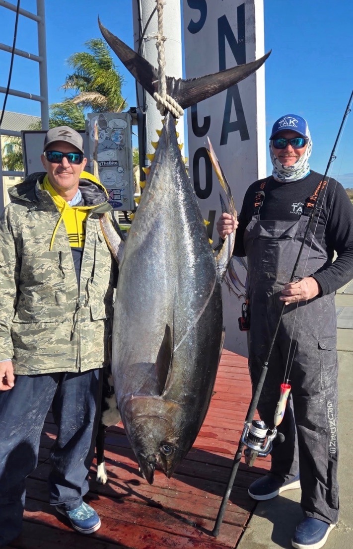 Bluefin tuna dock weigh-in